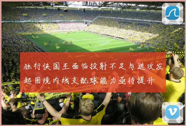 独行侠国王面临投射不足与进攻发起困境内线支配球能力亟待提升