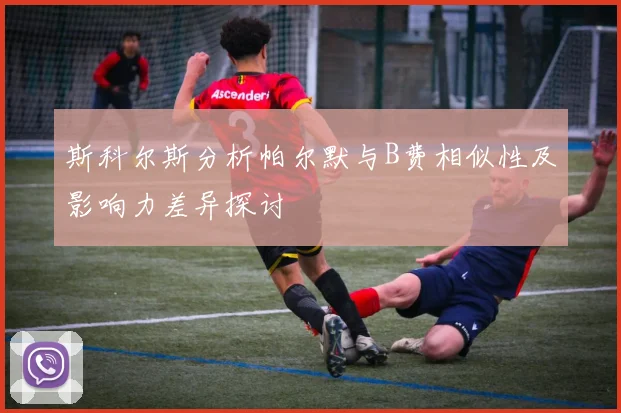 斯科尔斯分析帕尔默与B费相似性及影响力差异探讨